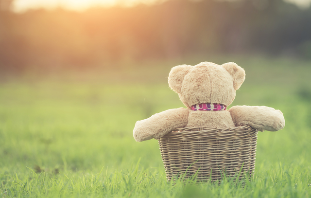 Lovely brown teddy bear in rattan basket on green field with len